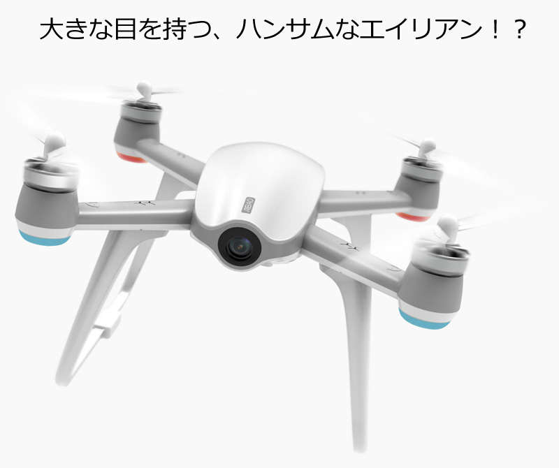 商品の仕様